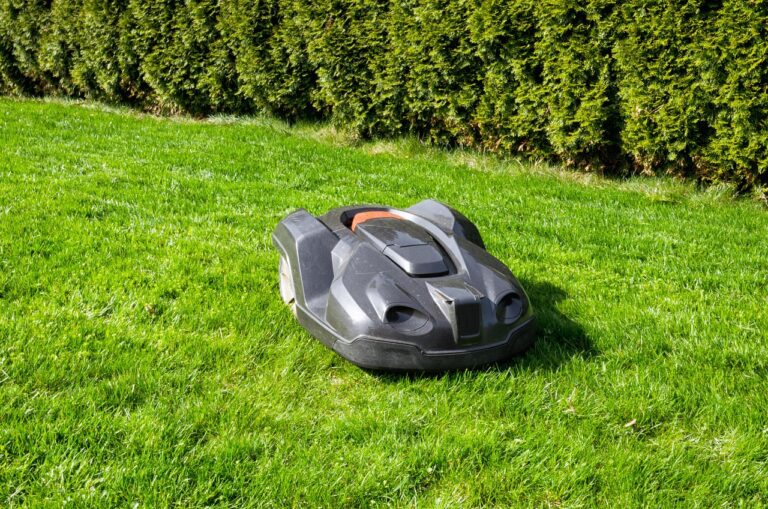 Robot koszący czy tradycyjna kosiarka – co bardziej się opłaca w dłuższej perspektywie?